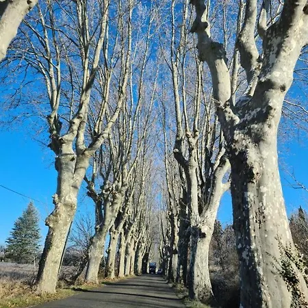 Les Marronniers Du Luberon Reillanne
